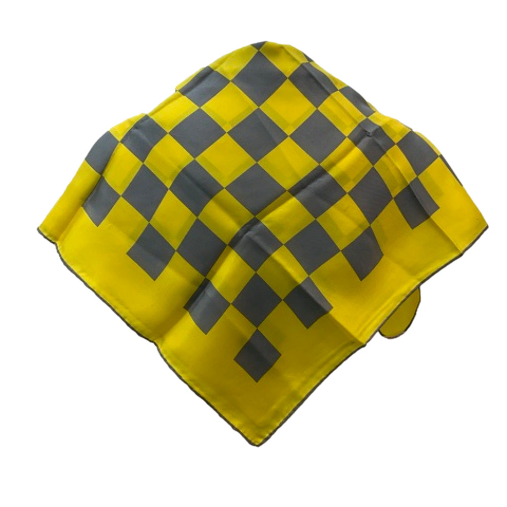 Echo Vintage Hand Rolled Silk Checkered Scarf